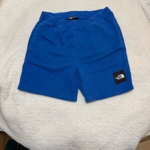 The North Face Kids Blue Casual Shorts
